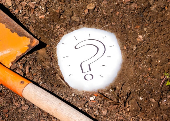 Un team building qui fait du bien à l'environnement