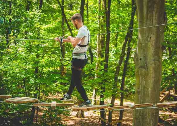 Organiser un team-building accrobranche à Toulouse 